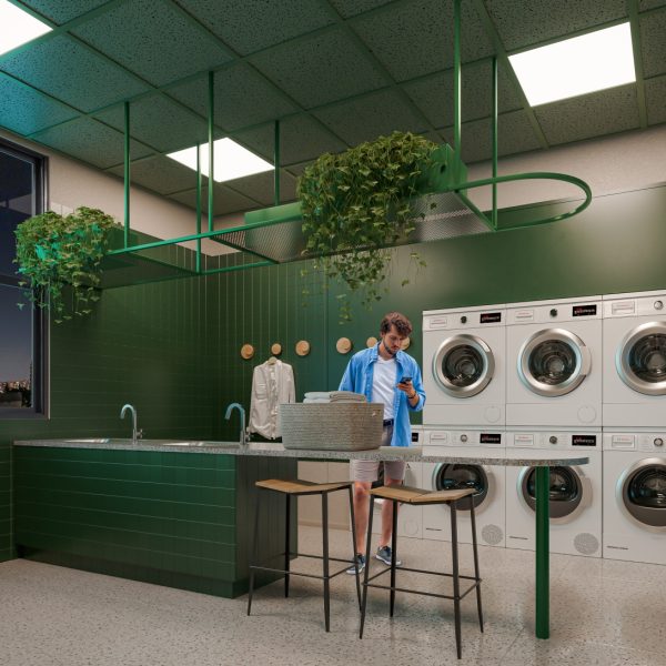 Laundry Share